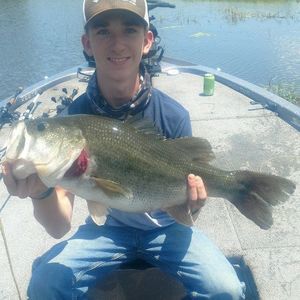 Meet your Posher, Kaleb